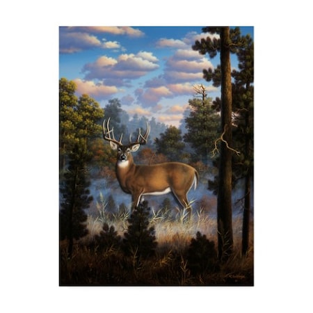 R W Hedge 'Morning Light White Tail' Canvas Art,24x32